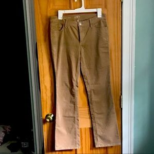 Loft corduroy petite boot cut pants